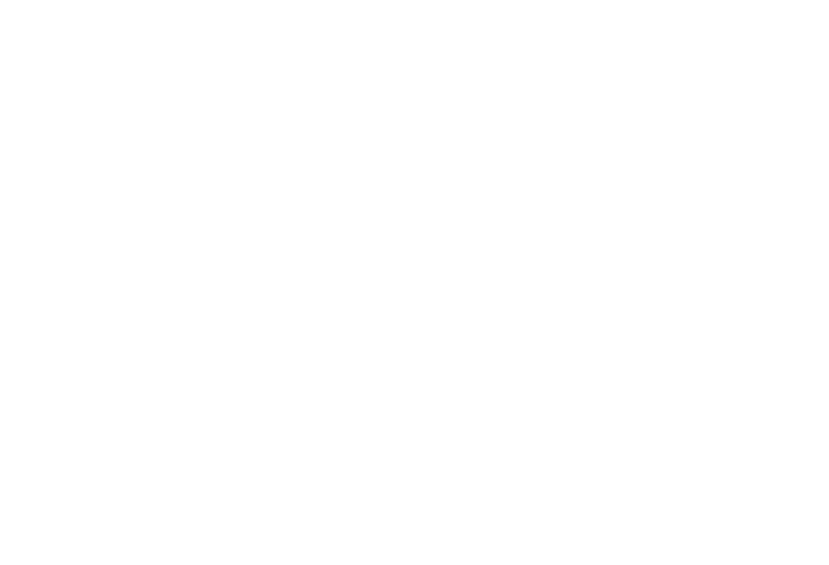 Toi Foundation Logo