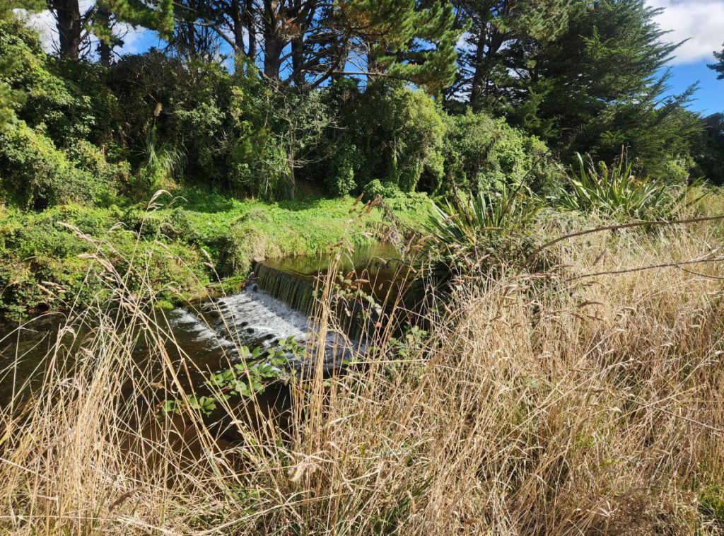 Taranaki Catchment Communities environmental solutions