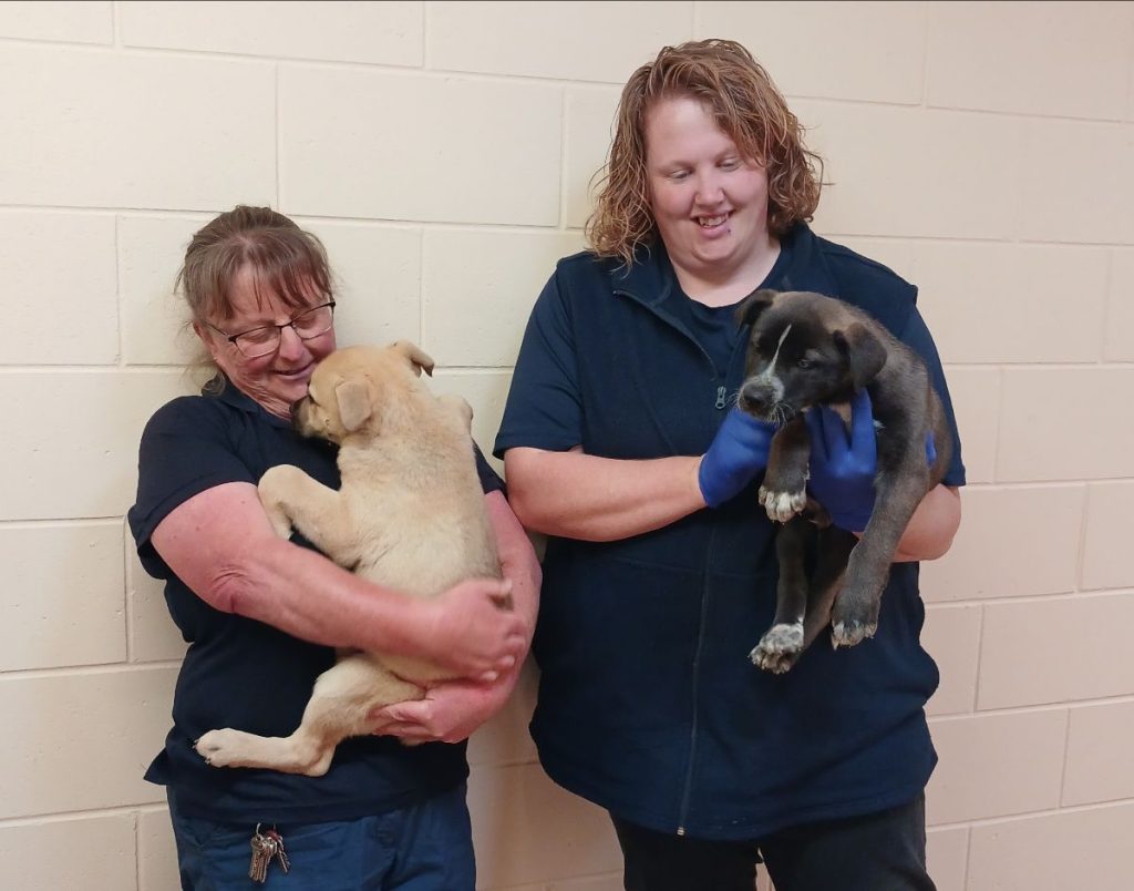 Taranaki SPCA, Toi Foundation Grant Recipient