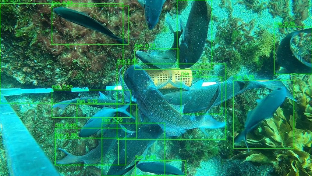 Taranaki Conservation Goes Hi-Tech